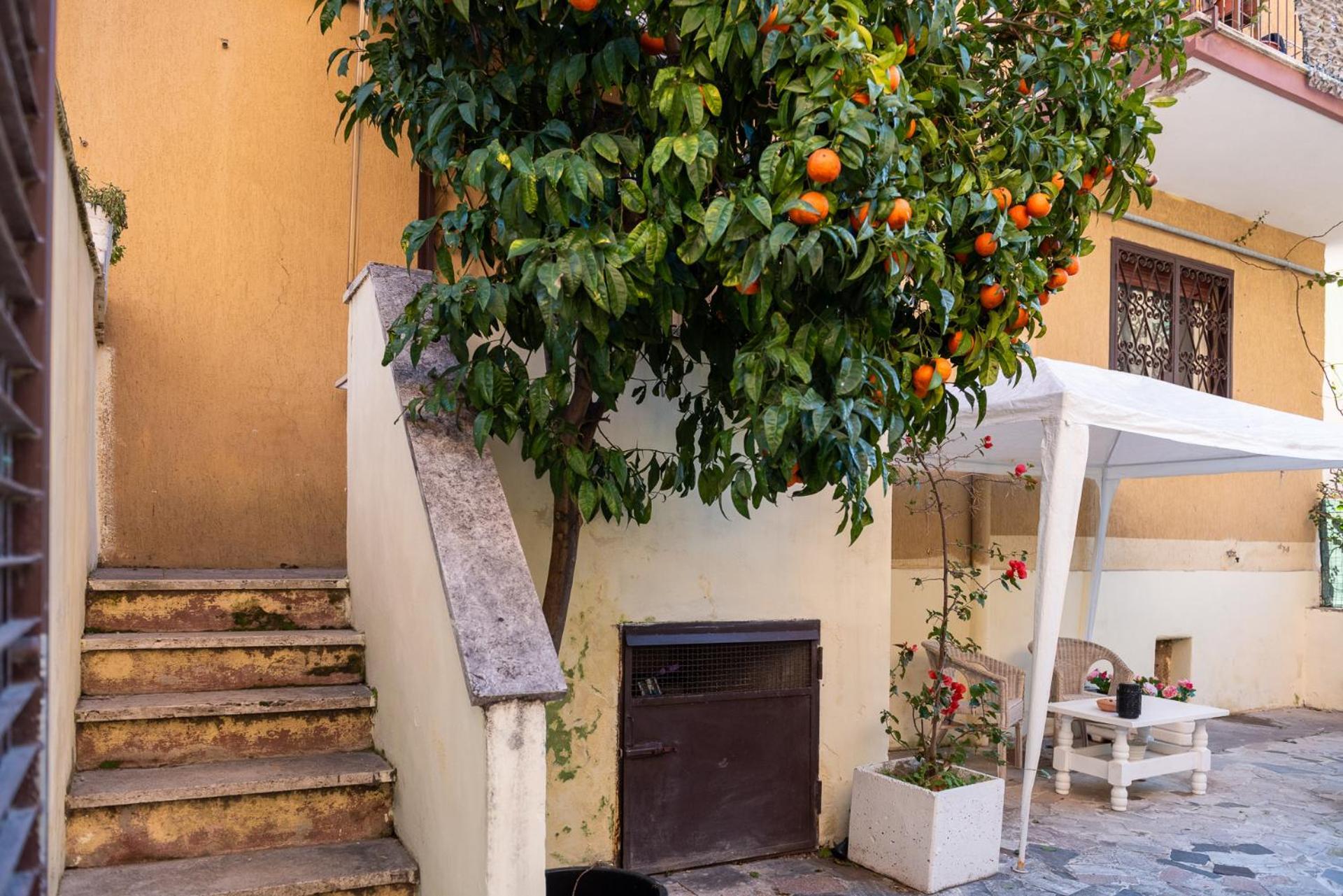 La Casa Di Betty Villa Lido di Ostia Dış mekan fotoğraf